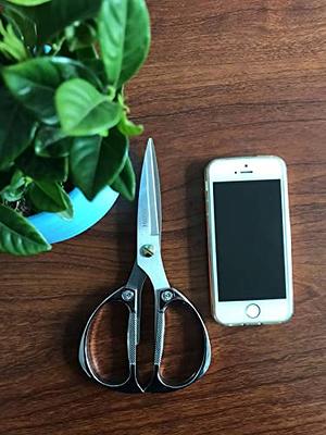  Horsvill Indoor Plant Shears Garden Scissors, Houseplant Shears  Made of Japan SK5 Stainless Steel, Flowers Herbs and Plant Cutters, Clippers,  Trimmers, Loppers, Bonsai Potted Plant Pruning Scissors : Patio, Lawn