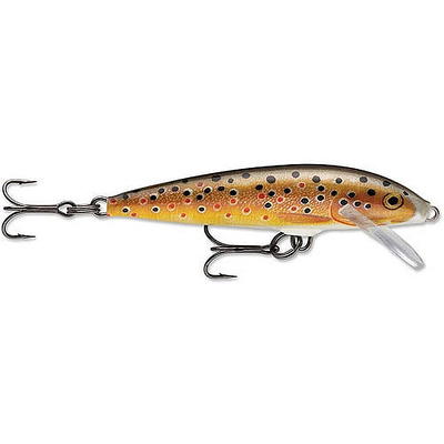 iCanvas Rainbow Trout Fishing Lure by Patent77 - Yahoo Shopping