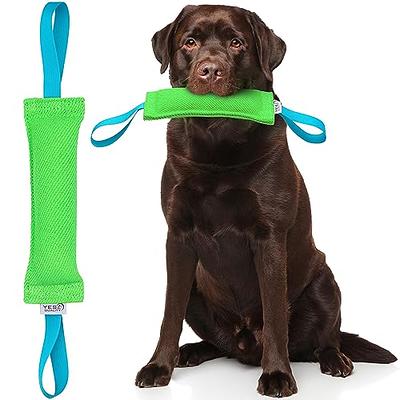 SCHITEC Tug Toy for Dogs, Bungee Tug of War Rope Toys with Squeaky Sound  for Small Medium Large Dog, Puppy Training Pull Toy for Exercise &  Interactive Play Games - Yahoo Shopping