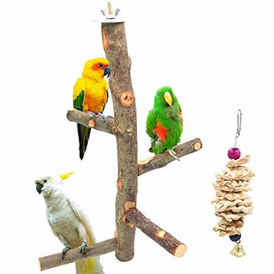 Bird Perch Stainless Steel Stand Parrot Rod Grinding Claws Trimming Beak  Nails Grinding Stick Exercise Platform for Parakeet Cockatiel Conure  African