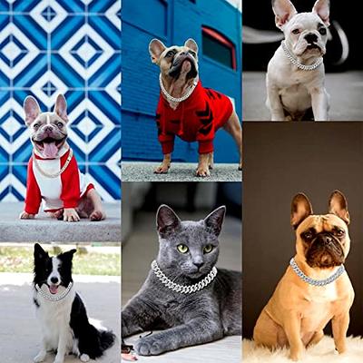 Dog Collar Dogs French Bulldog  Metal Collars French Bulldog