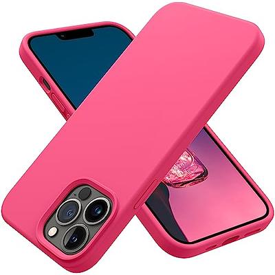 Surlong Clear Magnetic Phone Case for iPhone 12 Pro Max Case, Compatible  with MagSafe Wireless Charging