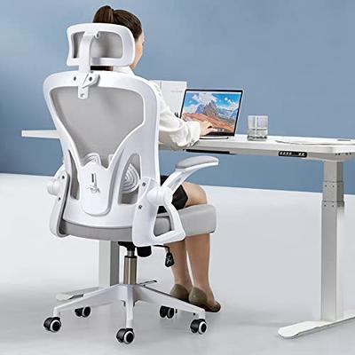 QY Ergonomic Office Chair Mesh Office Chair Adjustable Armrests Lumbar  Support Lift and Swivel Tilt Function PU Wheel Comfortable Computer Chair  Conference Executive Chair Black 