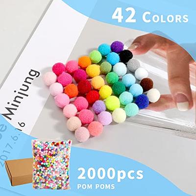 1000pcs Multicolor Pom Pom Balls, Assorted Sizes & Colors Pompoms for Arts  and Craft Making Decorations