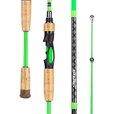 One Bass Fishing Rod, 2-Piece Graphite Spinning Rod & Casting Rod