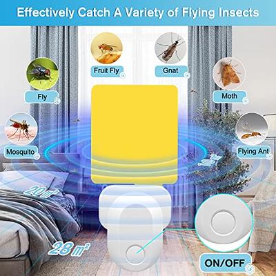  Fruit Fly Traps with Sticky Pads, Fruit Flies Gnat Killer for  Plant Indoor Outdoor, Yellow Gnat Sticky Traps with 2 Refills, Fly Catcher  Gnat Trap Killer, Non-Toxic and Odorless Fly