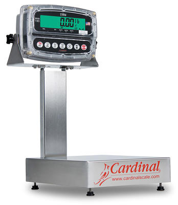 Cardinal Detecto 4520 350 lb. Platform Bench Scale