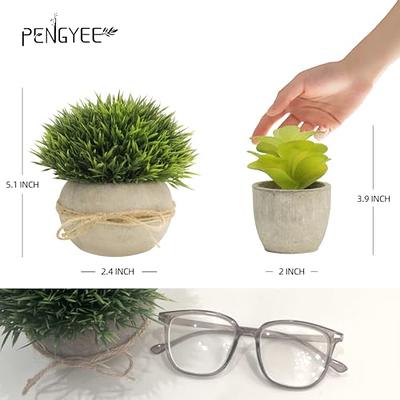 PENGYEE 4Pcs Small Fake Succulents Plants Artificial Plants Indoor for Home  Decor - Artificial Plants in Pots for Office Decor - Fake Plant for Wall  Decor Kitchen Bathroom Living Room Decor - Yahoo Shopping