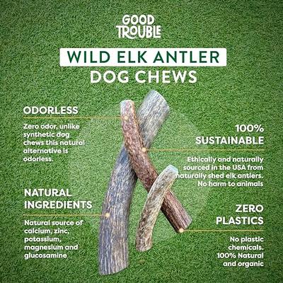 Sustainability of Antlers – Antler Chew