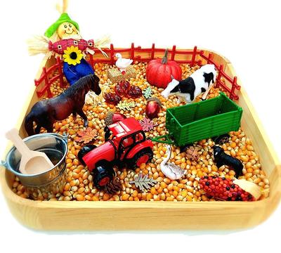 Fall Sensory Bin, Farm Pumpkin Patch, Bin Kit, Harvest, Bins