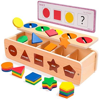 CEEDEE Baby Montessori Toys for 1 2 3 Year Old Boys Girls, Toddler