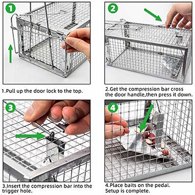 Humane Cage Trap for Squirrel Chipmunk Rat Mice Rodent Animal Catcher