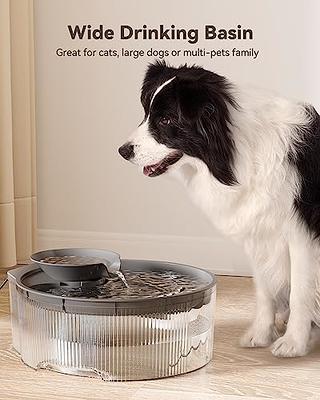 Large Dog Water Fountain, 1.5 Gallon Dog Water Bowl Dispenser