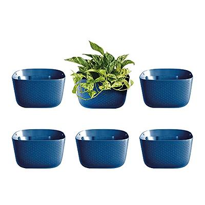 LaLaGreen Wall Mounted Planters for Indoor Plants - 10 Pack, 5 Inch Self  Watering Plastic Pot, Living Hanging Eco Wall Planter System, Trendy Live