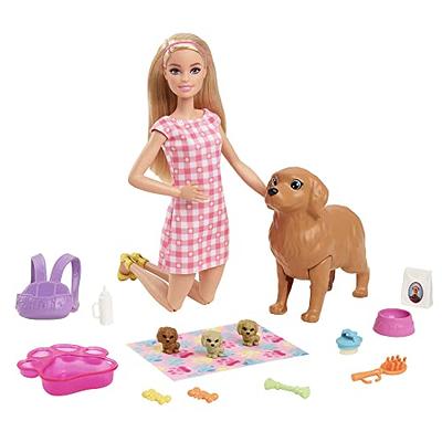 Barbie Skipper Babysitters Inc. Ultimate Daycare Playset With 3 Dolls,  Furniture & 15+ Accessories : Target