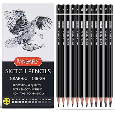 24 PC Artist Graded Pencils Set Sketching Graphite Pencil Drawing Range 6b to 6H