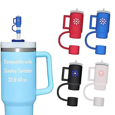 6pcs Straw Replacement for Stanley Cup Accessories, Reusable Straws for  Stanley 40 oz 30 oz and Simple Modern Trek Tumbler with Handle, Bottle  Straws