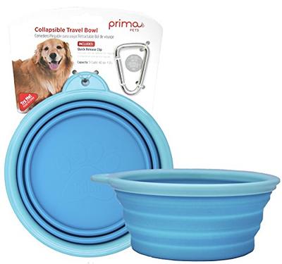 Travel Big Dog Bowl with Carabiner TEAL