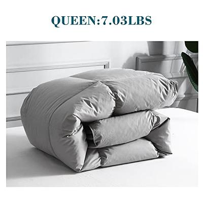 Bedsure Queen Comforter Duvet Insert with Corner Tabs Bundle Linen Cotton  Duvet Cover Queen Size Set