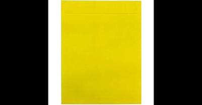 JAM Paper 10 x 13 Tyvek Tear-Proof Open End Catalog Envelopes