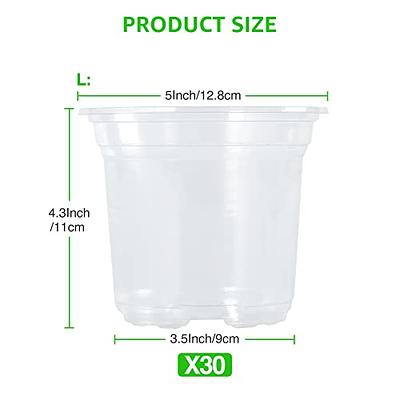 MIXC 30 Packs 4 Reinforced Clear Nursery Plant Pots with Silicone Base for  Easy Transplant, Transparent Plastic, Reusable Seedling Pots Seed Starter