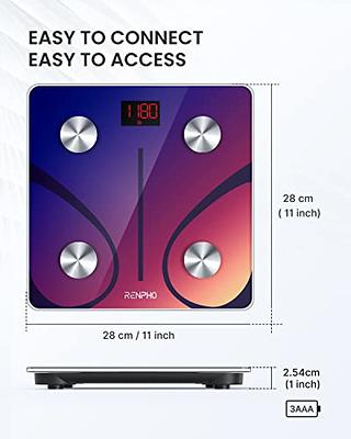 RENPHO Scale for Body Weight, Digital Weighing Elis 1 Scales with