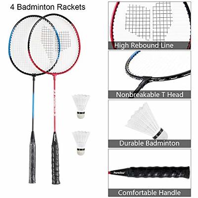  FBSPORT Portable Badminton Net Set with Storage Base