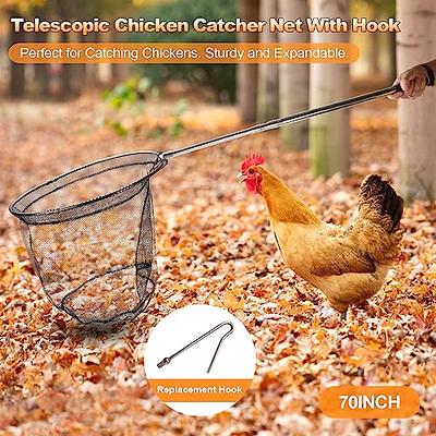 Animal Catch Net Pole Trap Tool Chicken Catcher Leg Hook Catching Kit  Animal Control Capture Pole Cat Bird Poultry and Small Animals Trapping Net  - Yahoo Shopping