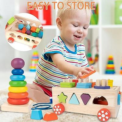 Toddlers Montessori Toys for 1 2 3 Year Old, Wooden Educational Shape  Sorting Toys Gifts for Kids 2-4 Girl Boy Baby, Preschool Learning Fine  Motor