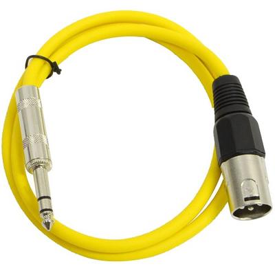 AxcessAbles XLR to 1/4 Inch TRS Instrument Cable 10ft | XLR Female to