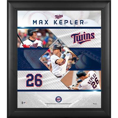 Minnesota Twins 17'' x 13'' 5-Layer 3D StadiumViews Wall Art