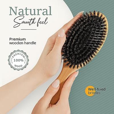 Belula 100% Boar Bristle Hair Brush for Men Set. Soft Hairbrush for Thin,  Normal and Short Hair. Boar Bristle Brush and Wooden Comb for Men. Free 2 x