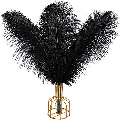 THARAHT Black Ostrich Feathers 12pcs Large Natural Bulk 12-14Inch