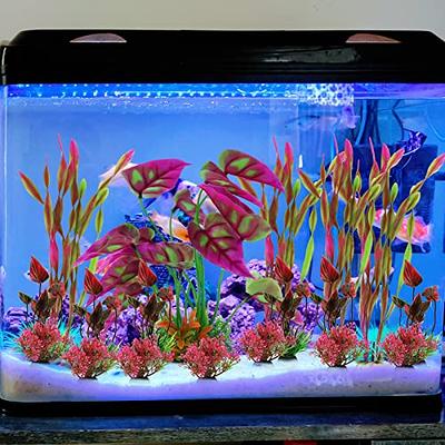  PietyPet Fish Tank Accessories Green Plants, 10pcs Green Fish  Tank Decorations, Aquarium Decor Plastic Plants : Pet Supplies