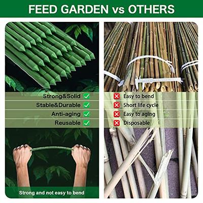 5FT Bamboo Garden Canes Strong Natural Thick Quality Stakes Plant