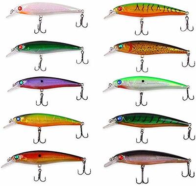 Fishing Lures Hard Bait Minnow Swimbait Crankbait Jerkbait Popper Topwater  Lures Freshwater Saltwater Fishing Lures for Bass Trout Walleye Pike Catfish  - Yahoo Shopping