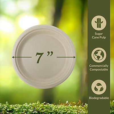 Vplus 150 Pack Paper Plates 9 inch 100% Compostable Plates Heavy-Duty  Disposable Paper Plates Bagasse Natural Biodegradable Eco-Friendly  Sugarcane
