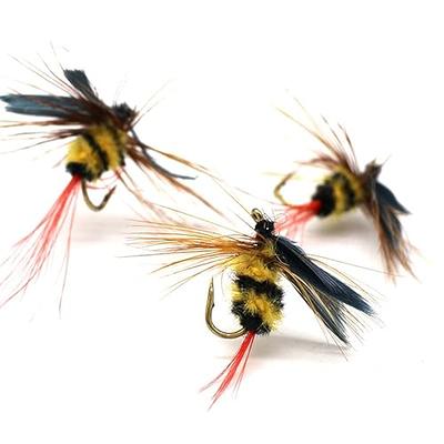 RoxStar Fishing Fly Shop, Trophy Trout Fly Assortment, Wet & Dry Trout  Flies, Gift Box Included.