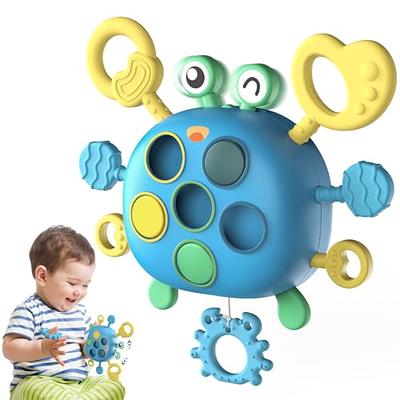 Baby Montessori Toys For 18 Months