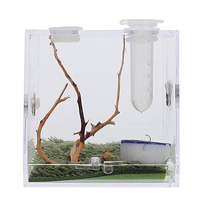 Spider Reptile Insect Feeding Box Reptile Breeding Box Terrarium Accessories  Insect Box For Spider Cricket Snail