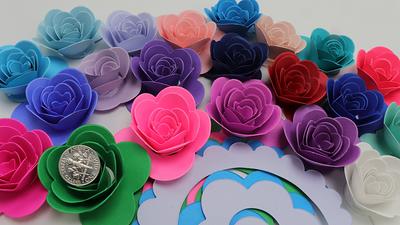 Choose Quantity and Color Roses