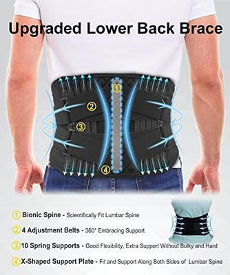 AVESTON Back Support Lower Back Brace for Back Pain Relief - Thin