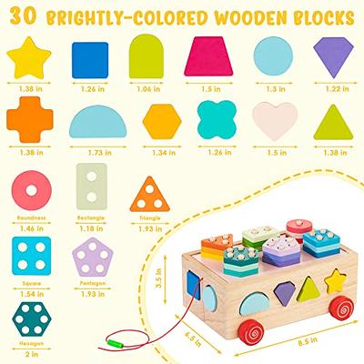 Bravmate Montessori Toys for 1 Year Old, Wooden Blocks Shape Sorter  Stacking Rings Baby Color Sorting Toys for Toddlers 1-3, Pull Along  Educational