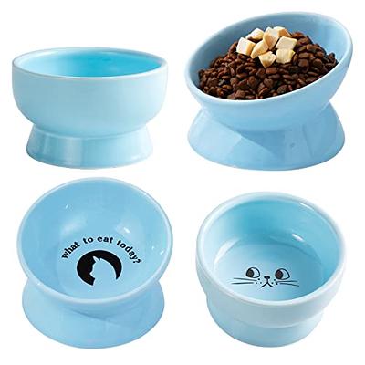 Y YHY Elevated Cat Food Bowl, Raised Pet Food and Water Bowl, Cat and Small Dog  Bowl, Tilted Ceramic Cat Water Bowl No Spill,15oz, Dishwasher Safe White