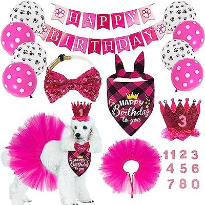 Pet Party Hat  Dog Birthday Cat The Pawty Animals Gold Blush - Yahoo  Shopping