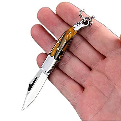 Camping Stainless Steel Pocket Folding Knife for Camping Hunting, Hiki –  Funnest Living