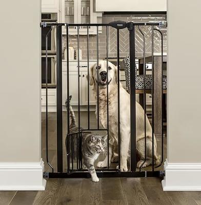 Carlson Extra Wide Walk Through Pet Gate with Small Pet Door, Includes  4-Inch Extension Kit, Pressure Mount Kit and Wall Mount Kit,White