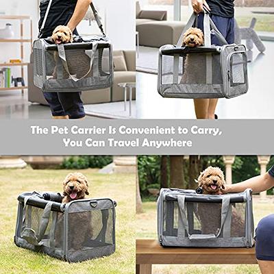 GAPZER Pet Carrier for Large Cats, Soft-Sided Cat Carrier for Medium Big  Cats and Puppy up to 20lbs, Washable Dog Carrier Privacy Protection for  Home