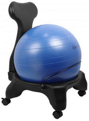 Enovi Lite Ball Chair, Yoga Ball Exercise Ball with Slipcover for Home Office Desk, Stability Ball & Balance Ball Seat to Relieve Back Pain, 65cm, FG