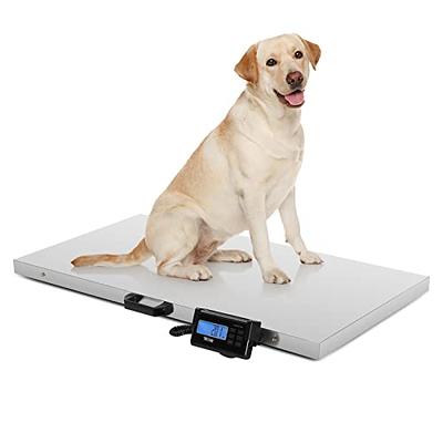 Large 660lb STAINLESS STEEL Dog Digital Pet Scale Veterinary Animal Weight  Vet